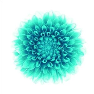 Meet your Posher, Rebeca